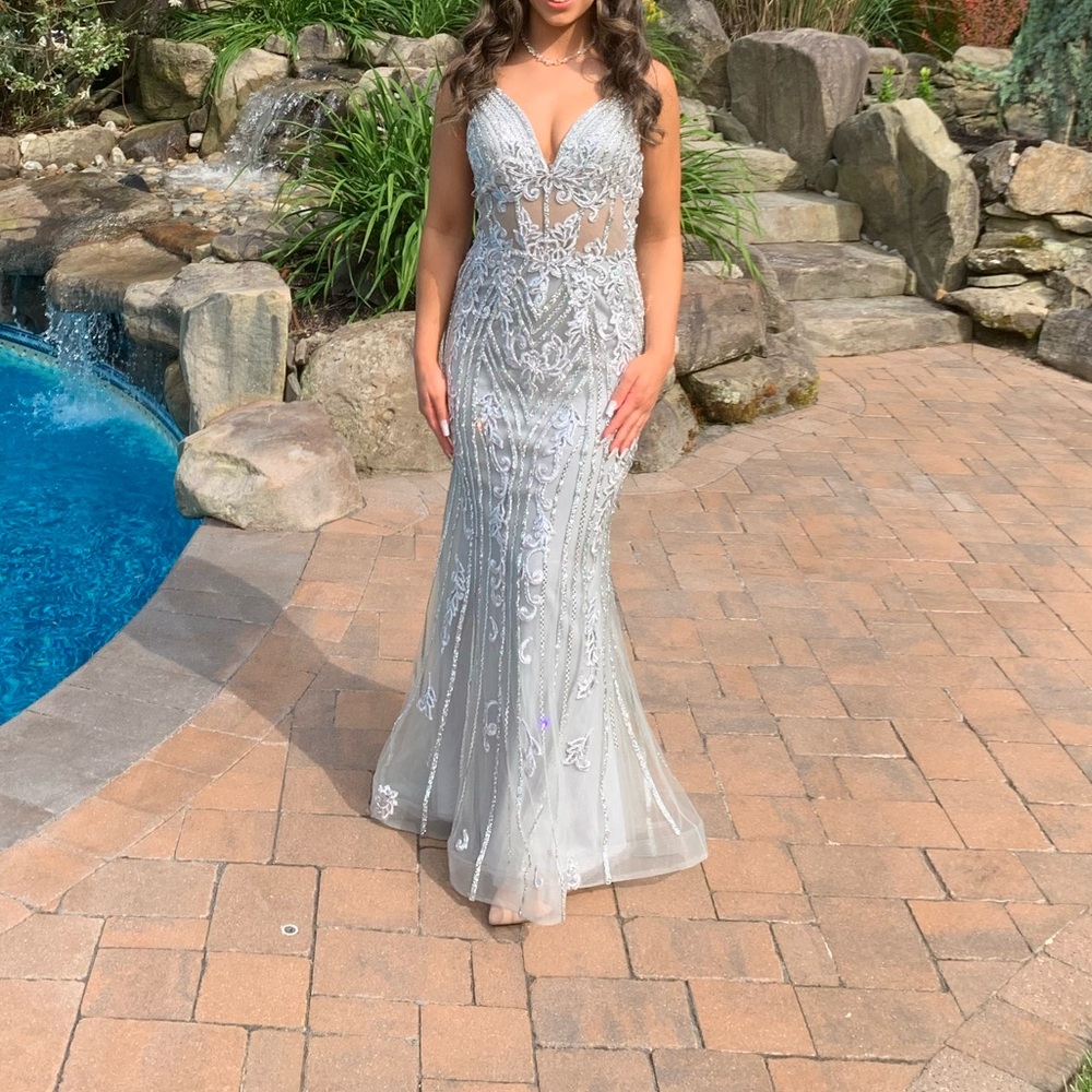 Elegant Silver Gown